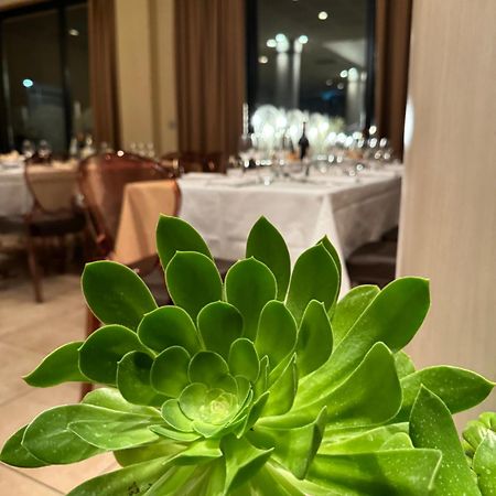 弗利大酒店 外观 照片