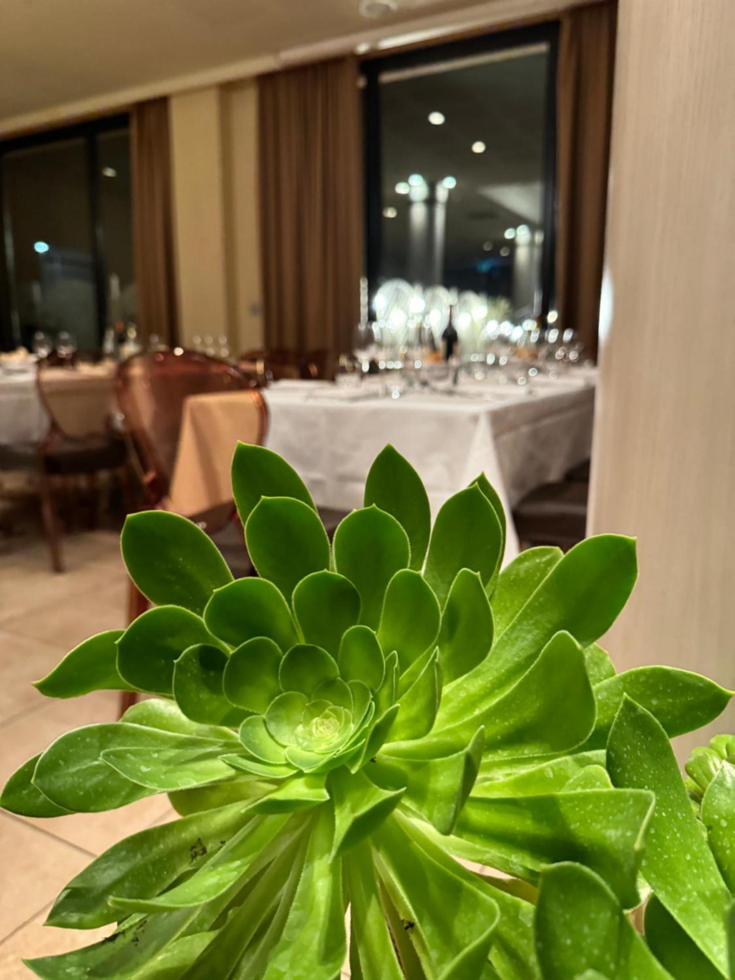 弗利大酒店 外观 照片